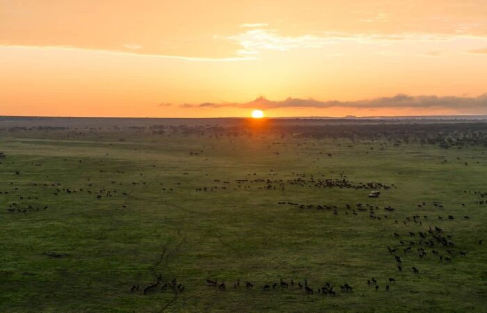 Tanzania safari wildebeest migration